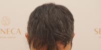 image 5.png