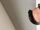 IMG_9622.jpeg