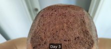 Day 3 - 2.jpg