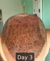 Day 3 - 4.jpg