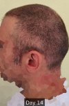 Day 14 - 2.jpg