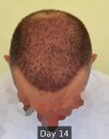 Day 14 - 9.jpg