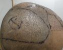IMG_1274.jpeg