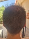 IMG_3186.jpeg