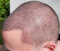 10DZ24.04.26L1.jpg