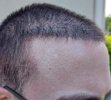 12DZ028.05.26L1.jpg