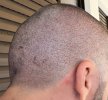 IMG_0278.jpeg