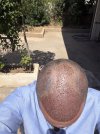 IMG_0303.jpeg