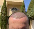 IMG_0370.jpeg