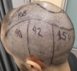 1790196358735.png