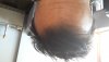 20160331_101239.jpg