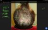 tempFileForShare_2016-04-07-10-01-41.jpg