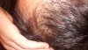 20160419_004059.jpg