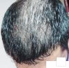 DSC06073.JPG