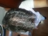 20160616_155339.jpg