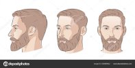 depositphotos_626989942-stock-illustration-man-beard-barbershop-trimming-bearded.jpg