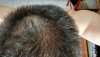 IMG_20160802_110406_HDR.jpg