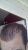 IMG_20160803_132618.jpg