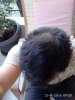IMG_20160912_095804.jpg
