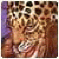 TekNeextGooxy