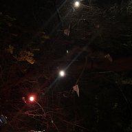 konstantinos manolas