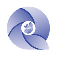Myqbizai
